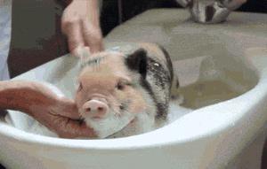 妇科病不要怕每天坚持这样做,妇科病的四种习惯