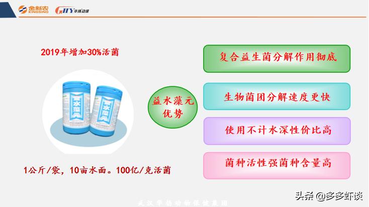 蓝藻过多对水体的影响,蓝藻爆发能不能补肥水