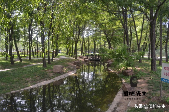 畅游沈阳｜沈阳科普公园，开展科普活动的主要公园