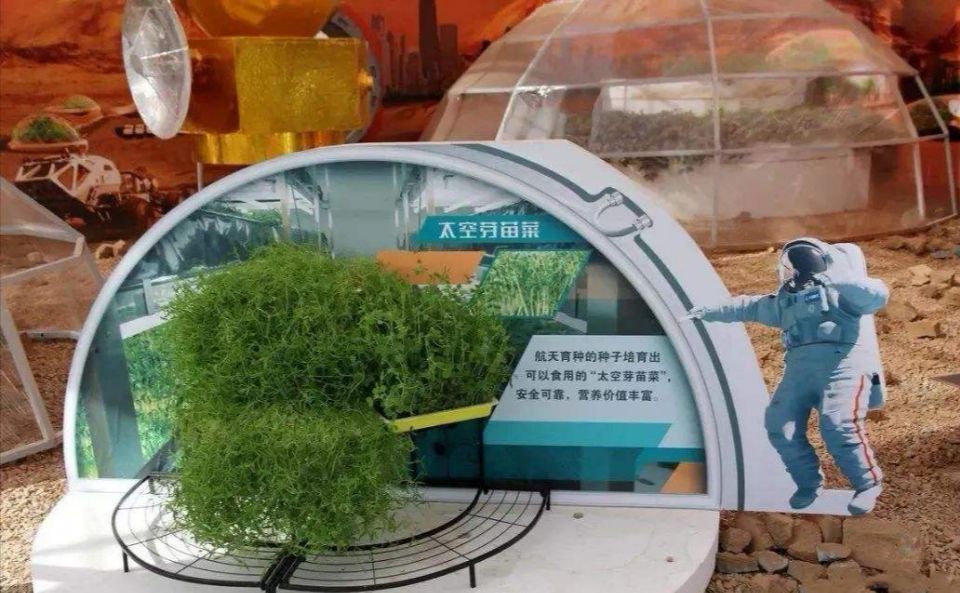 金星是怎么样的一颗星球,金星地狱星球真的存在吗