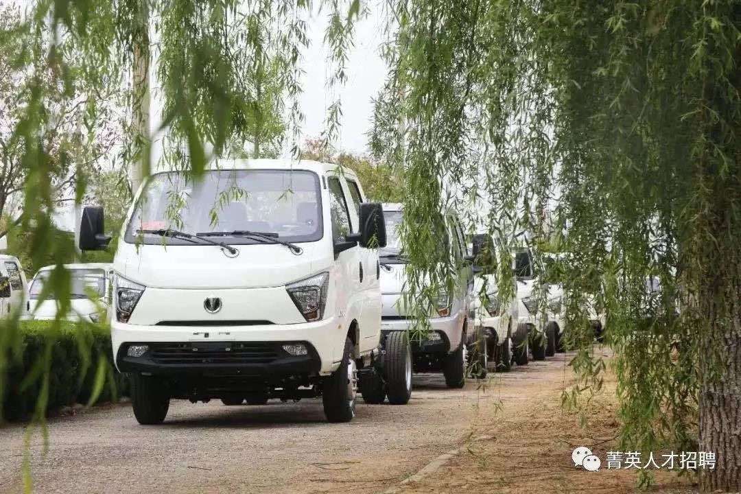 山东五征最新招聘信息,五征厂招聘