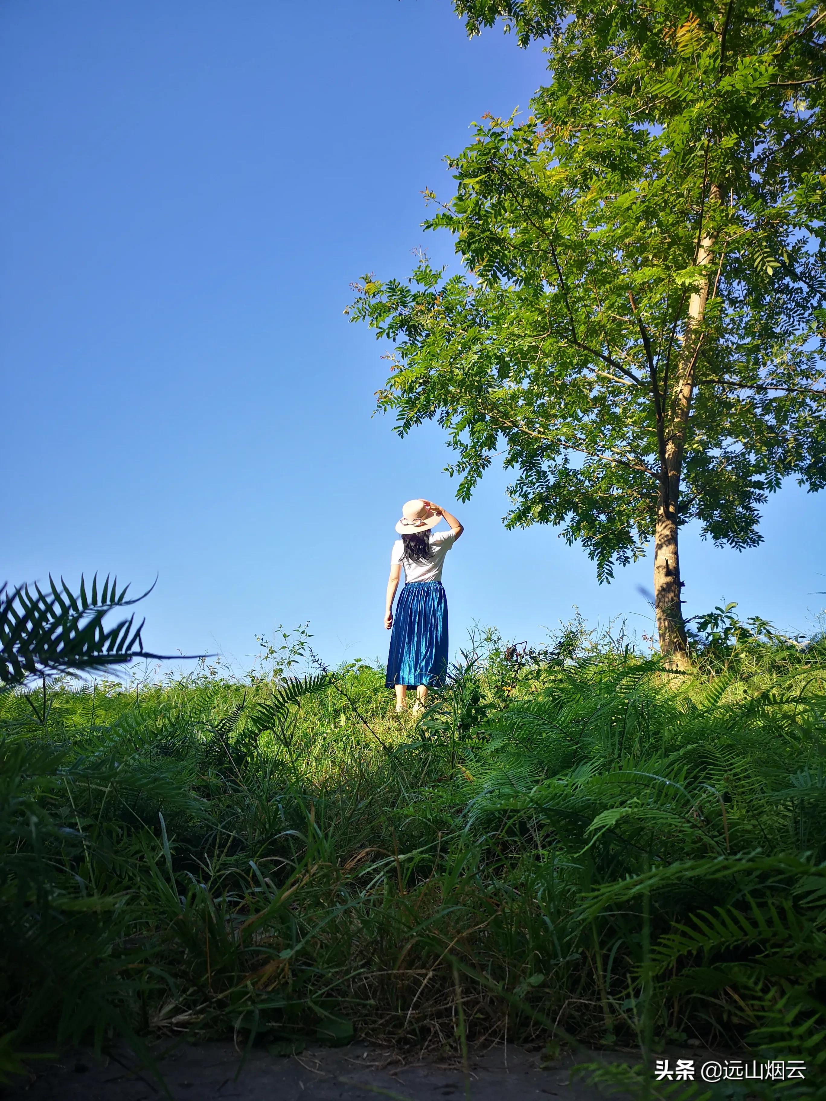 三个方法拍照,自己用自拍杆如何拍照不露杆