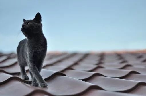 如果你很担心你会怎么做,如果你不怕疼你会怎么样