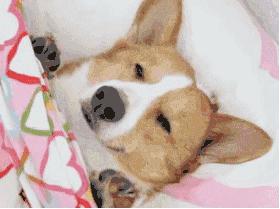 梅州深圳高铁1.5小时,深圳梅州高铁票价