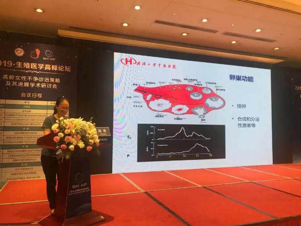 2023生殖医学高峰论坛,第二届长江生殖医学高峰论坛