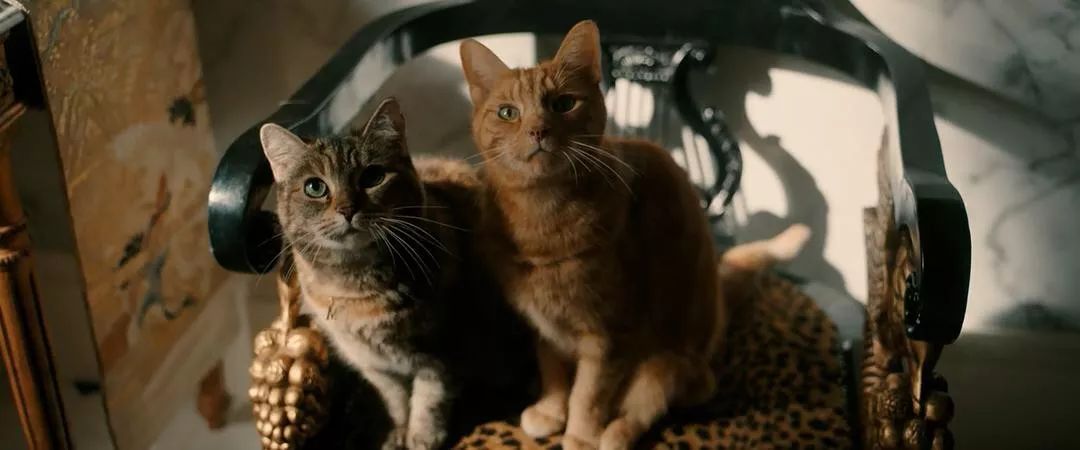 波西米亚狂想曲单品 (波西米亚狂想曲wewillrockyou)