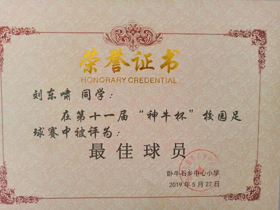 卧牛石小学校园足球赛,法库县小学足球联赛2020