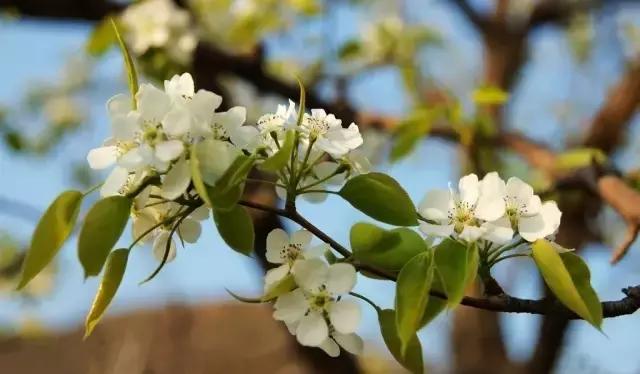 沈阳周边游4天短途旅游,沈阳周边省份游2-3天短途旅游