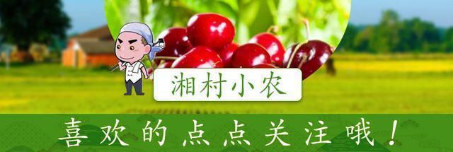 农民工过年回家老板拖欠工资?三种方法帮你处理,一个人都跑不了