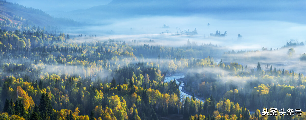 慢性肠炎有哪些中药方剂,治疗慢性肠炎副作用小的中成药