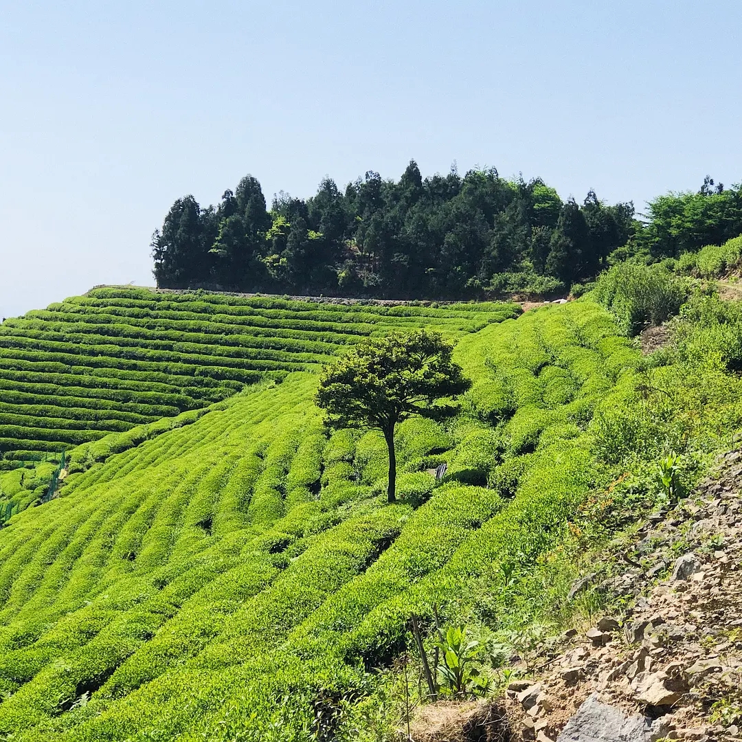 国庆宁海必去十大景点,宁海小众景点