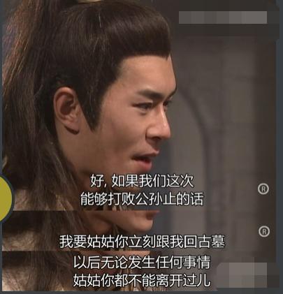 神雕侠侣小龙女外貌描写,神雕侠侣11位小龙女你最喜欢谁