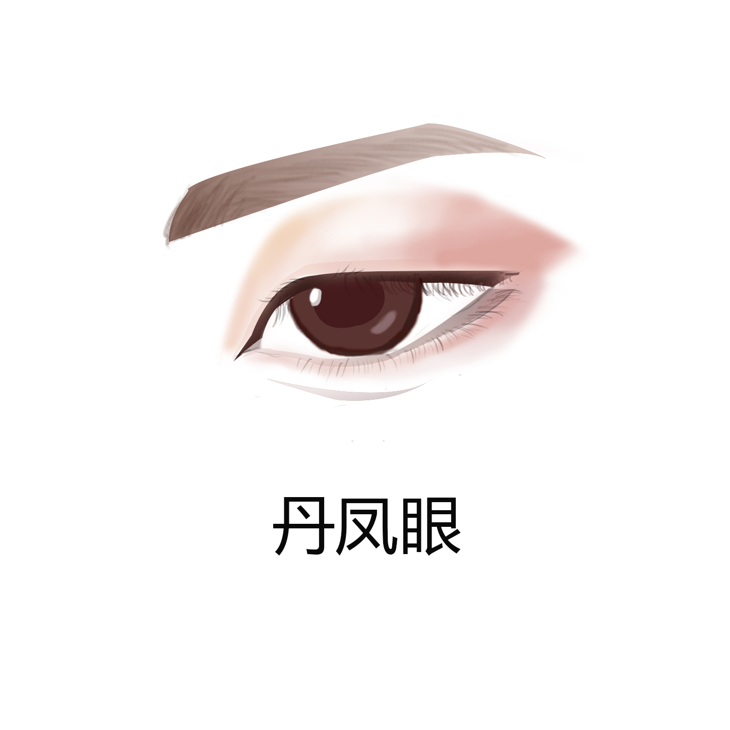 怎么判断自己眼型适合什么眼线,判断眼型的app