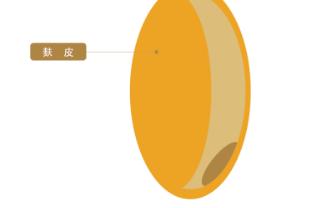 日式强力粉与日式法式粉区别,日本粉和法国粉的区别