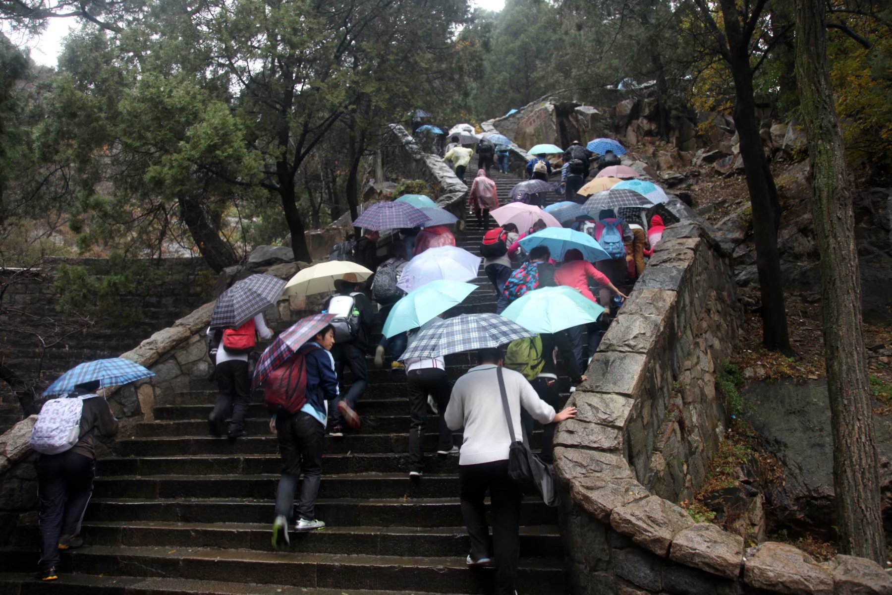 泰山景区在山东哪个市,泰山孔子庙在泰山的位置