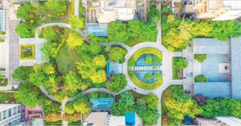 濂嬭繘鍦ㄥ叏闈㈠缓鎴愬皬搴风ぞ浼氬緛绋嬩笂,濂嬭繘鍩庡競寤鸿