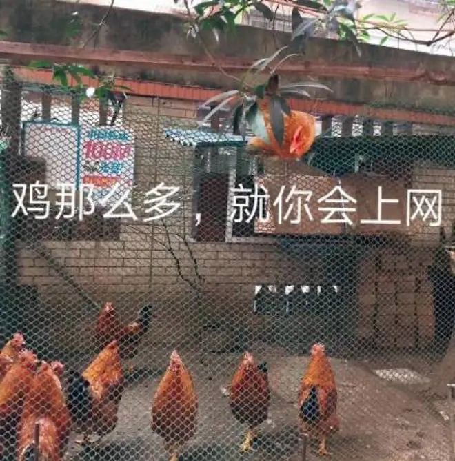 《青蛇劫起》用力过猛，扯到了胯