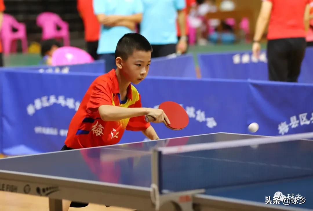 市运会|乒乓球:梅江区乘胜追击;平远异军突起