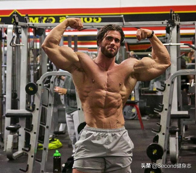 大力王身材堪比施瓦辛格,大力王迈克奥赫恩和施瓦辛格