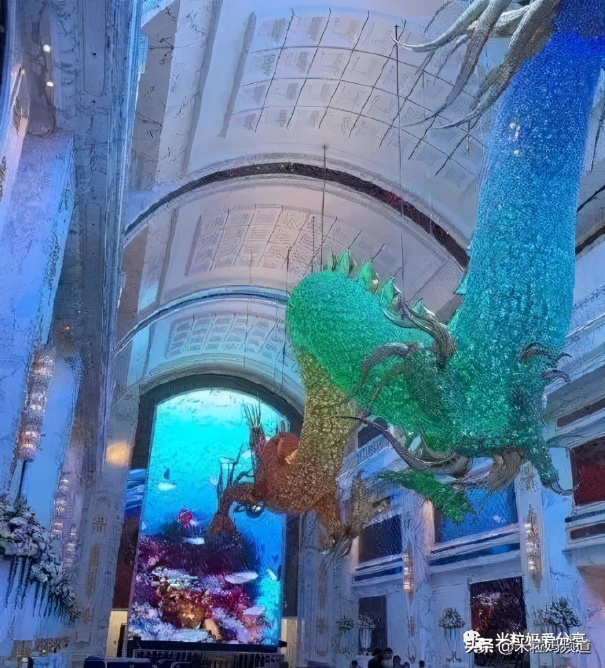 向太称郭碧婷答应生三个孩子,向太称郭碧婷要三胎