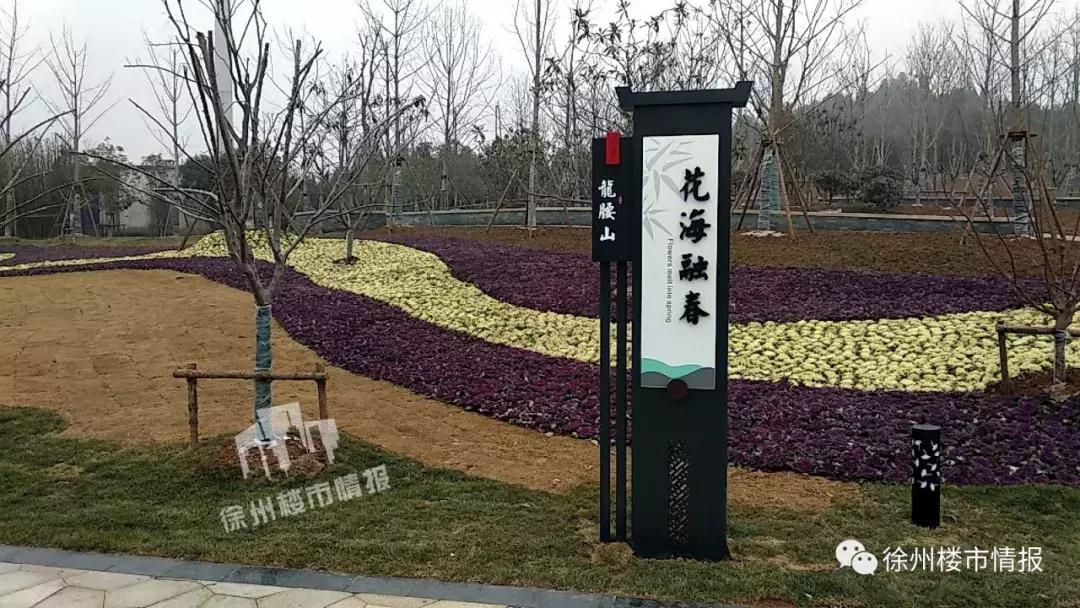 徐州森林公园,徐州森林公园开放时间最新