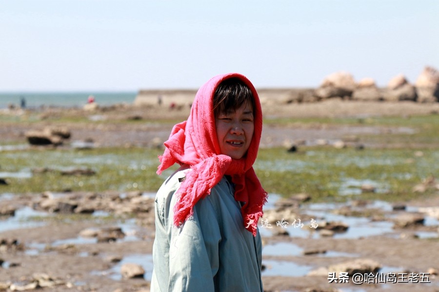 哈仙岛住宿多少钱:哈仙岛在哪里,哈仙岛到底怎么样?