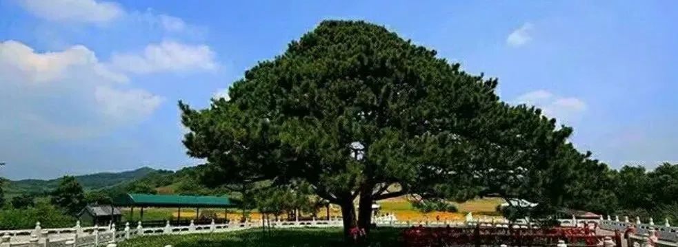 辽宁传说未解之谜,辽宁铁岭十大古迹