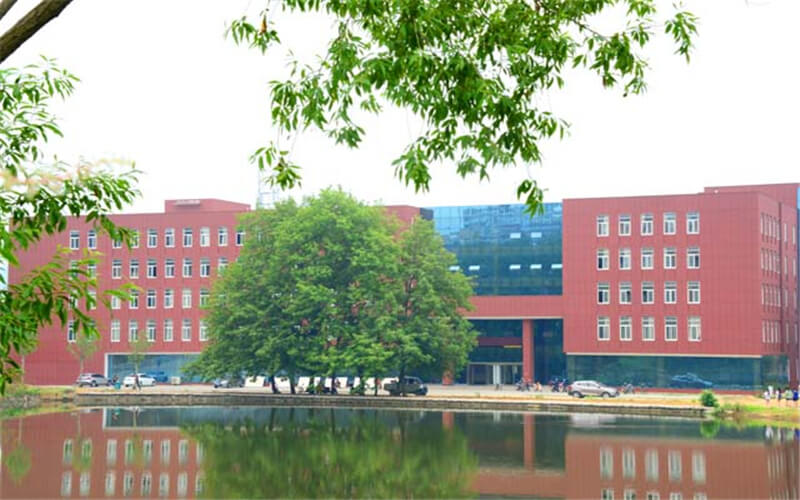 河南民办高校（本科）大起底：野花儿香，能采不？