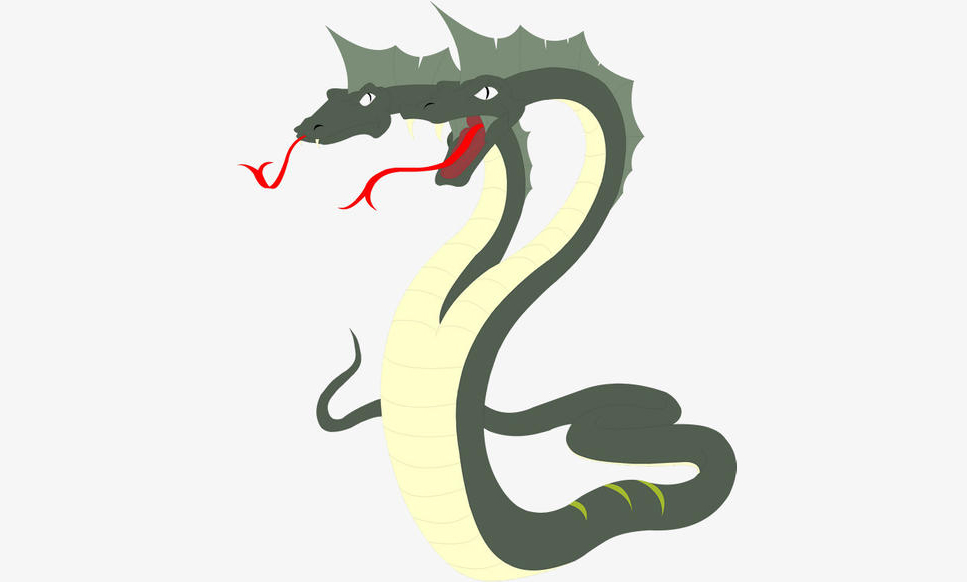 美国最大的蛇类,美国最大的蛇有多大