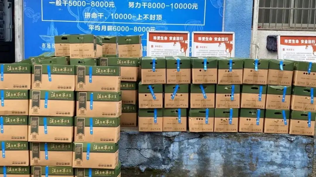 「第17期」莲都电商近期回顾