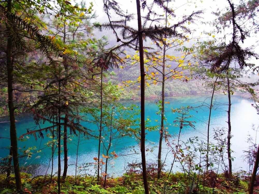 重庆九凤山慢时光民宿,遇见民宿庄园九凤山店