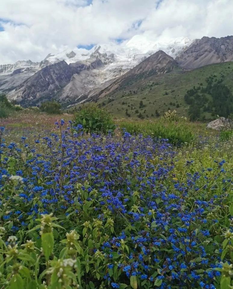 8月格聂c线,8月走格聂南线穿什么