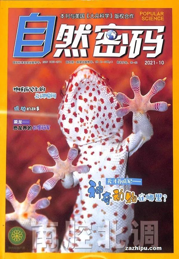 如何订购杂志更便宜一些,杂志怎么订阅最便宜的