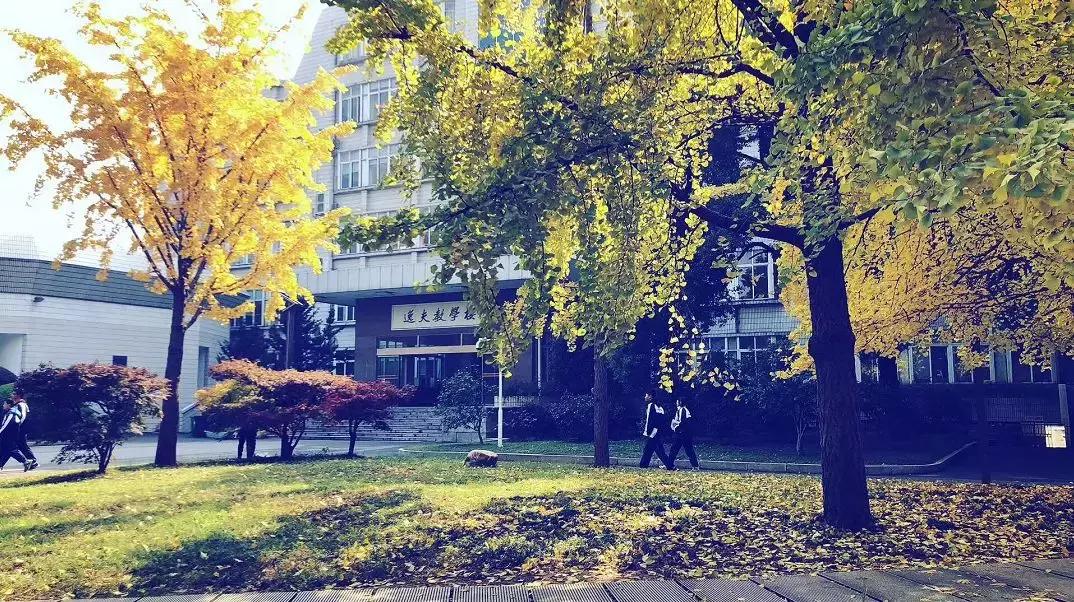 长沙一中,长沙一中望城校区