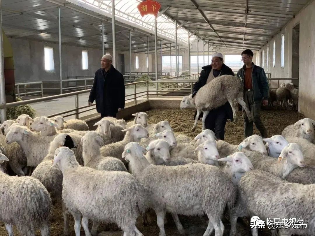 鑴辫传鏀诲潥鍙栧緱鍏ㄩ潰鑳滃埄澶鏂伴椈,涓滀埂鍘挎渶鏂扮殑鏂伴椈鑱旀挱