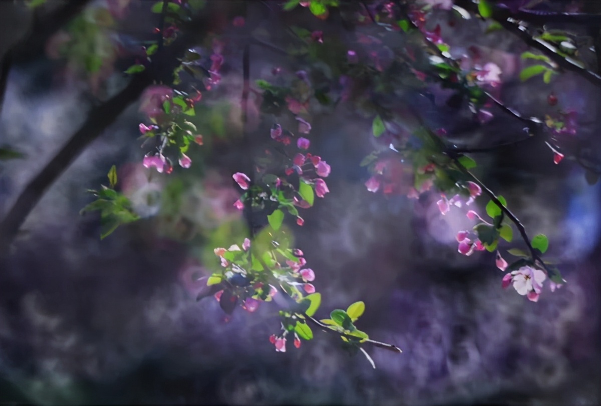 历经双甲子!北京交通大学:创造多项第一,坐拥轨道交通领域“硬核”实力!