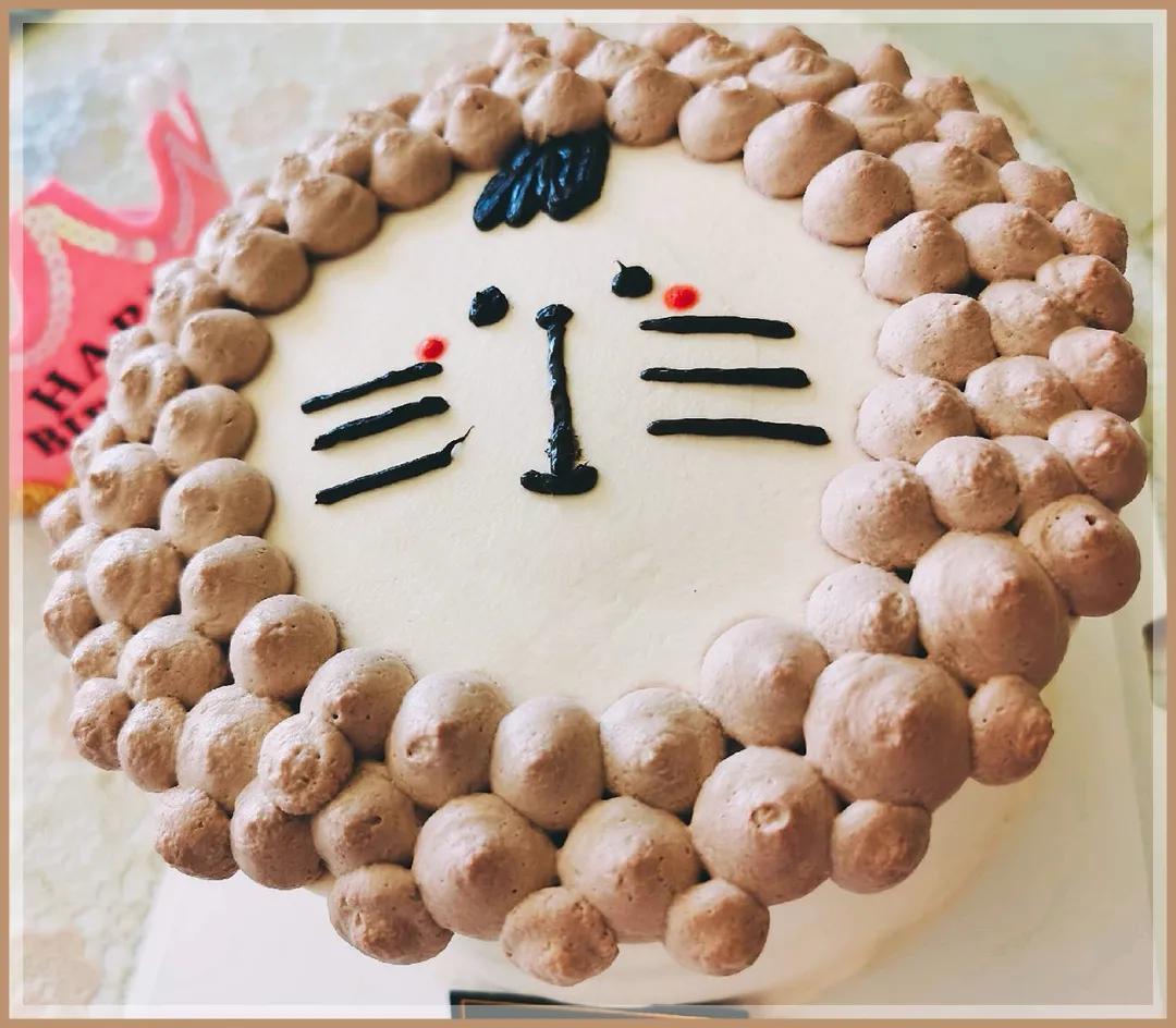 生日蛋糕款式分享,适合大家的生日蛋糕