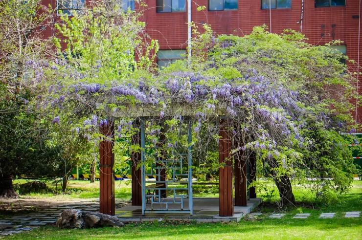 北京航空航天大学专业录取分排名：王牌专业反而垫底？没想到