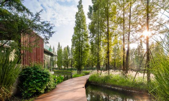 香港置地拿地逻辑,地产深度观察