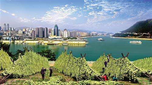 涪陵临港经济区最新消息,重庆涪陵保税区规划