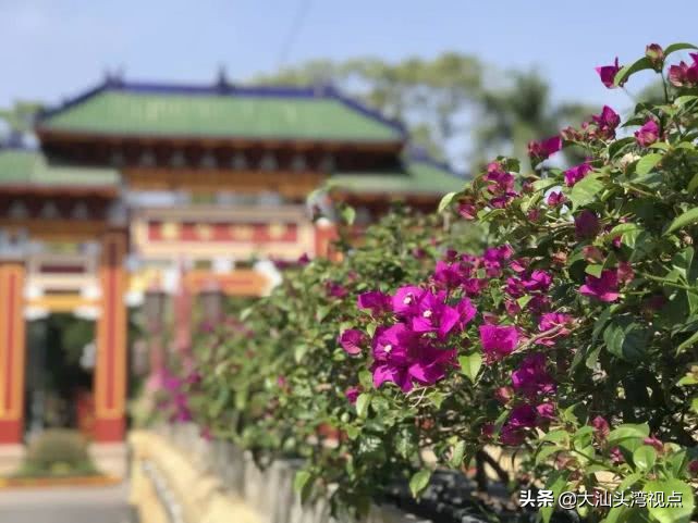 汕头有哪些公园免费景点,汕头公园好玩排名榜