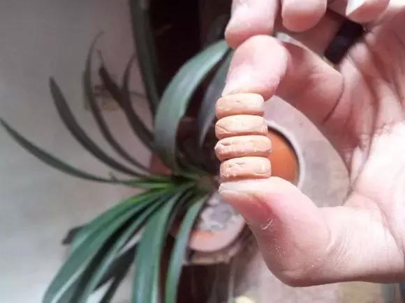 切片凤眼手串,自制纸菩提手串