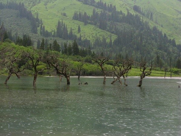 四姑娘山冬日旅行,2022年冬天四姑娘山游记