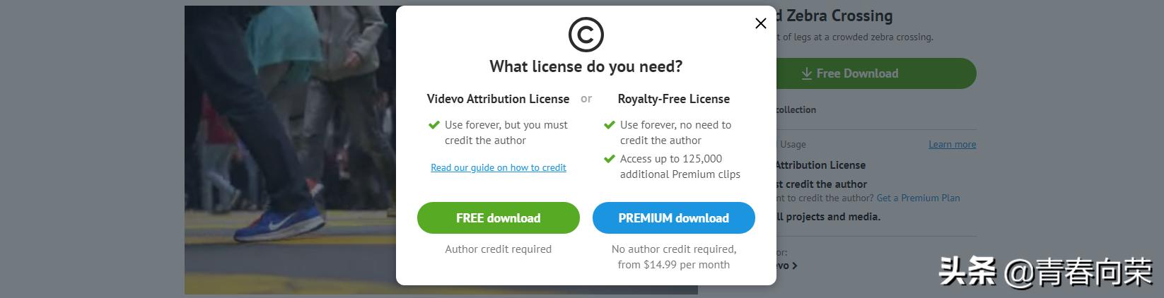 无版权,全免费！10个视频素材网站私藏汇总,助你快速晋升vlog达人