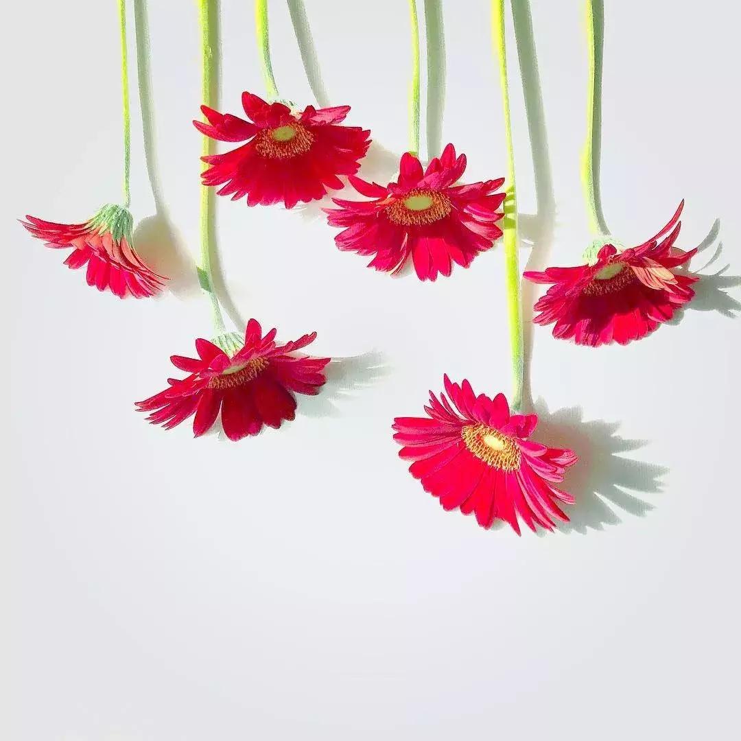 怎样检测照片正常曝光呢,正确曝光和准确曝光