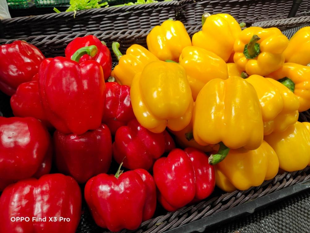 五大旗舰拍照速度实测,五大旗舰机拍照横评