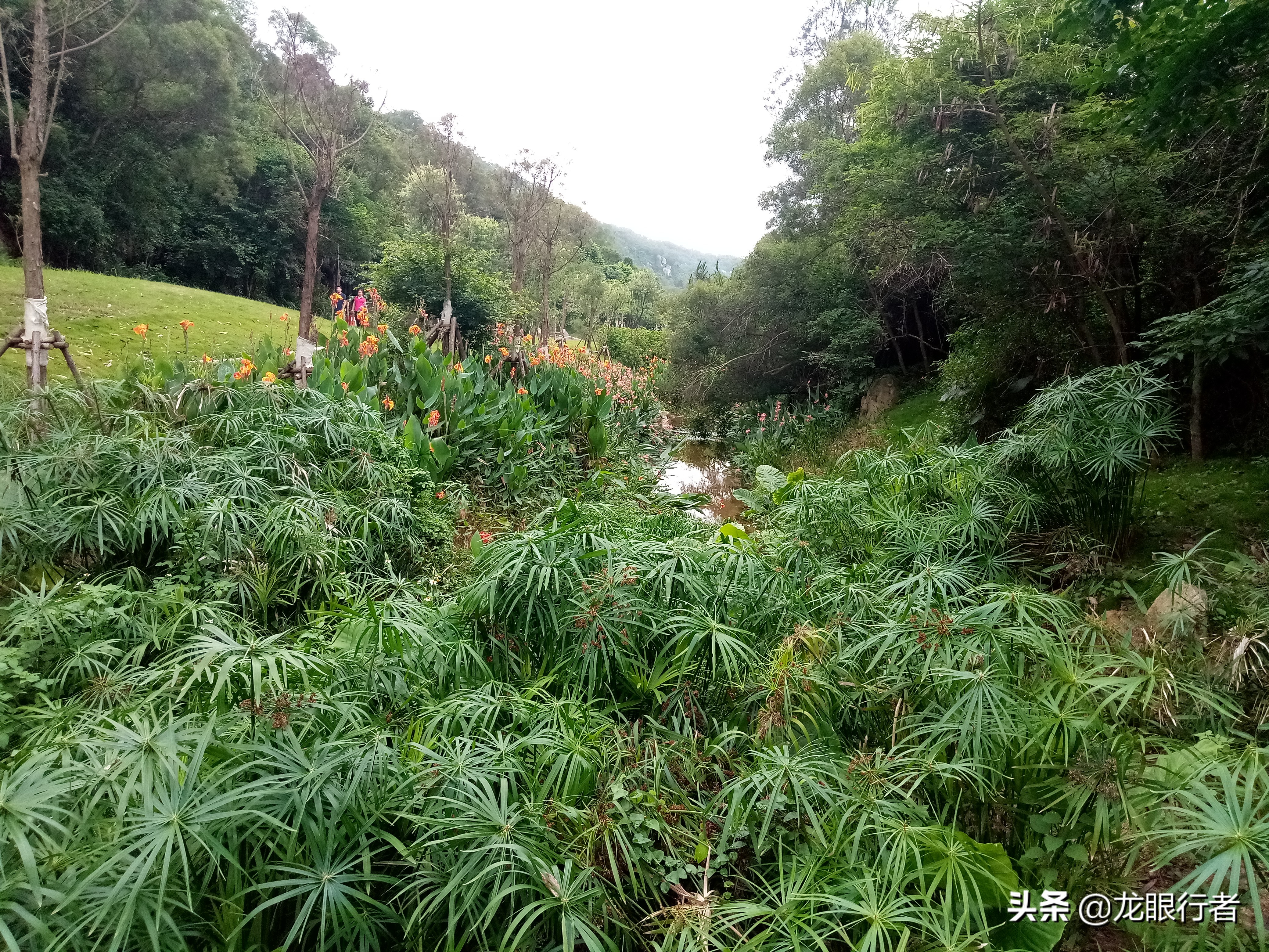 绝配，万载*光春**百年坝，厦门岛竟然私藏着曾经的远东第一水厂