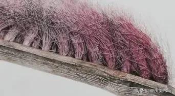 中央美术学院精微素描,中央美术学院全国素描第一名