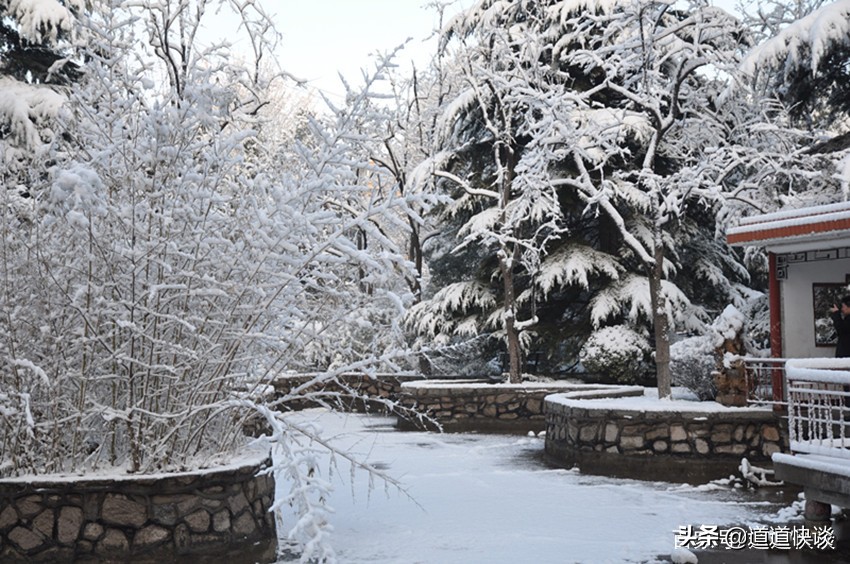总工会职业技术学校怎么样,全国总工会管理的学校是211吗