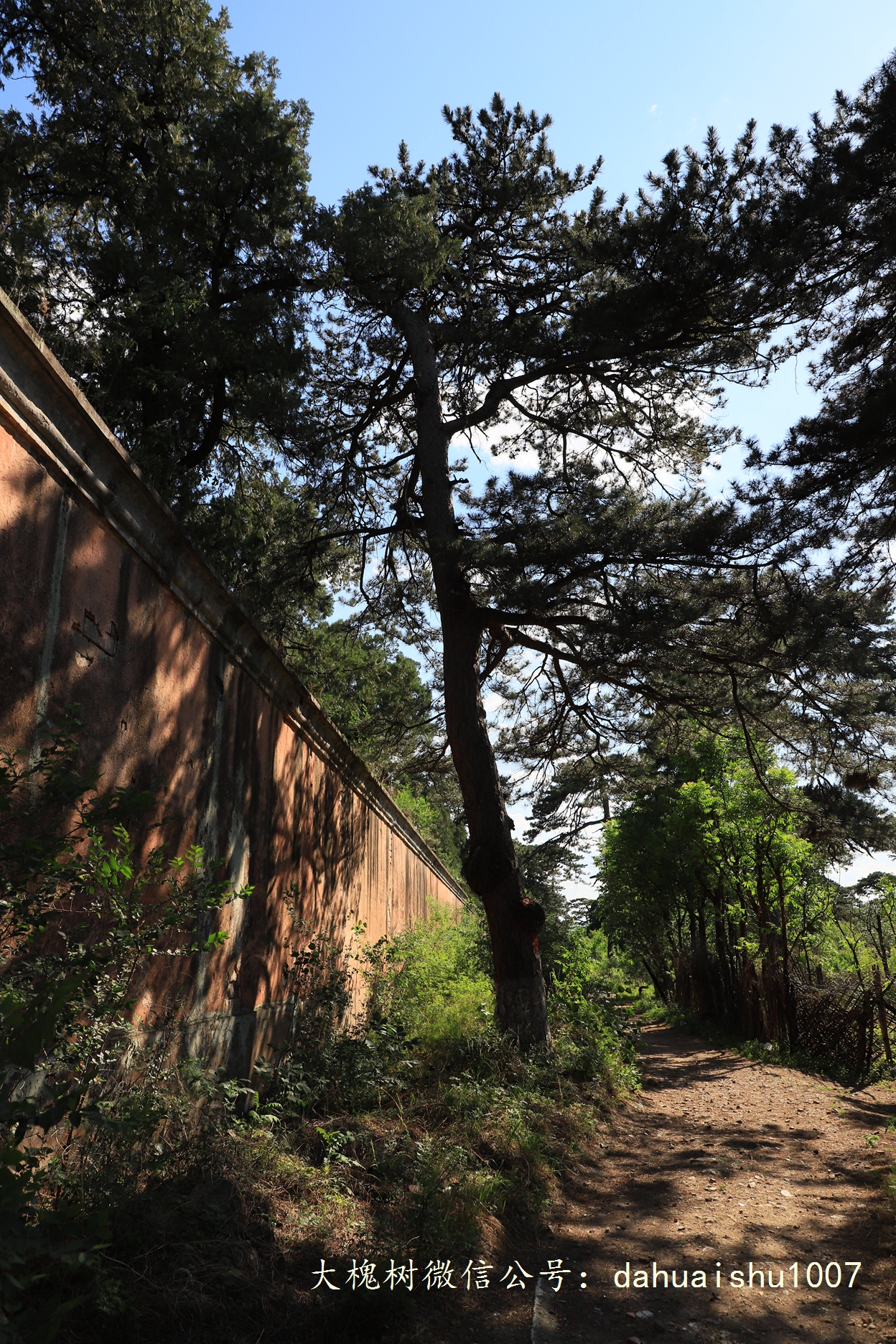 嘉靖陵墓永陵和永乐大典,明朝十三陵之永陵